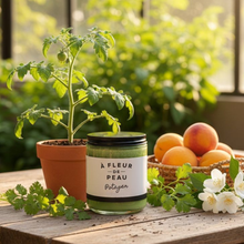 Charger l&#39;image dans la galerie, Chandelle Potager
